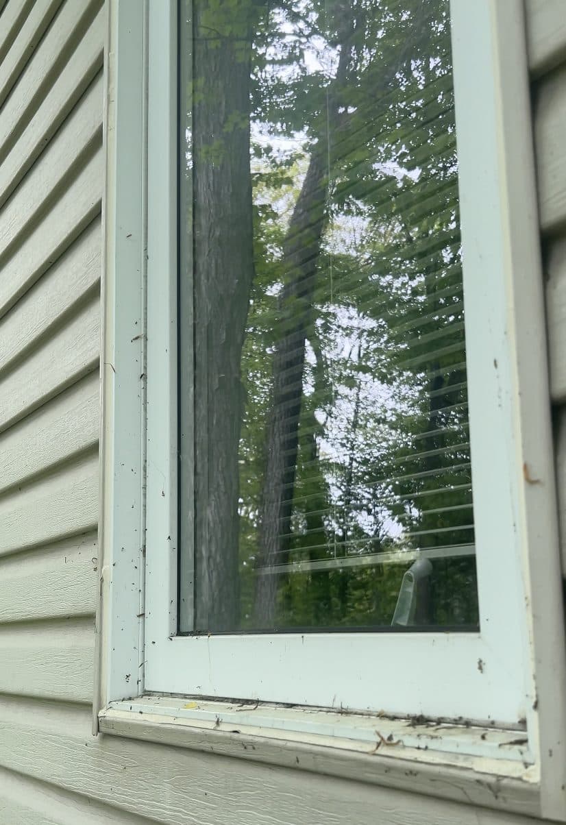 Vitres extérieures, avant